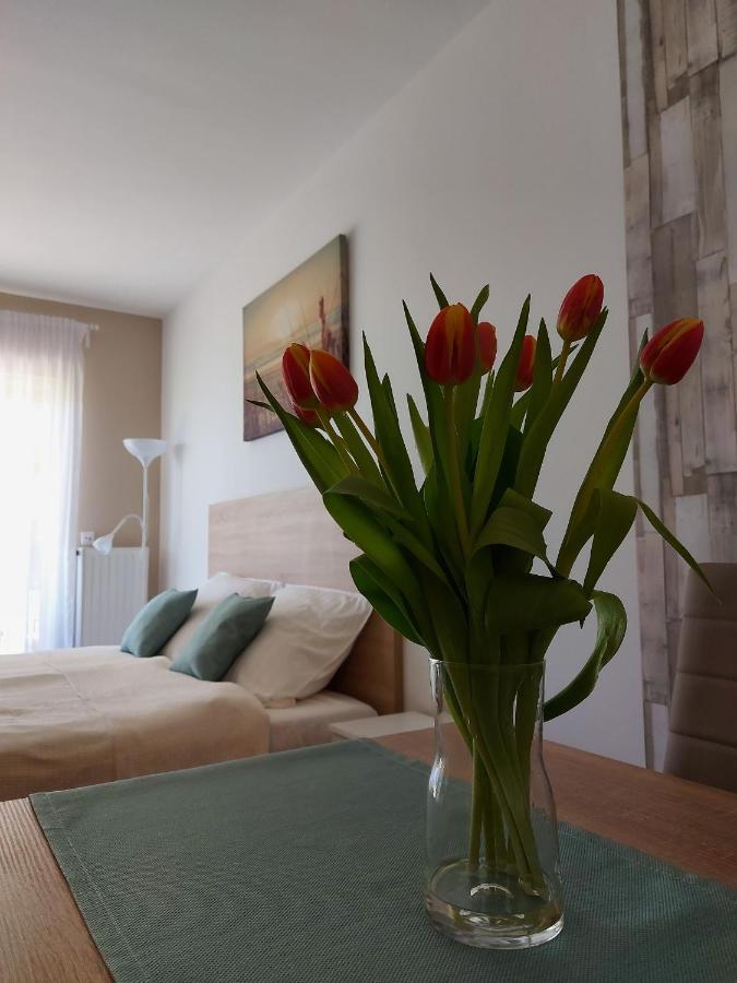 Bike & Spa Velence Apartman Luaran gambar